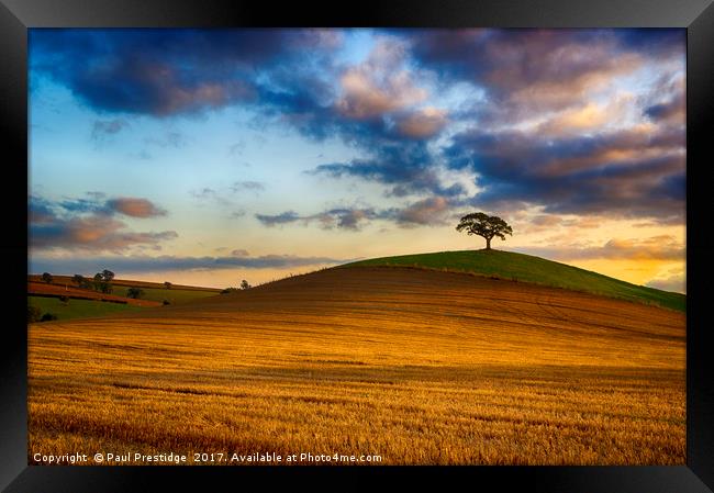 Golden Hour Landscape Framed Print by Paul F Prestidge