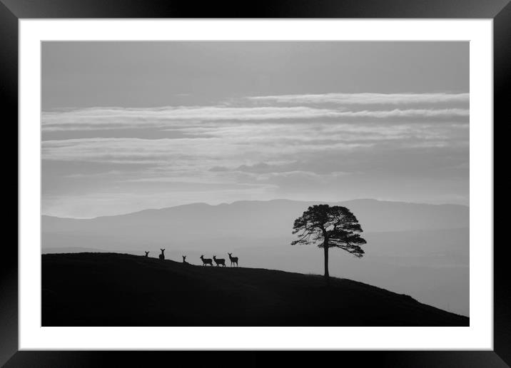Silhouettes  Framed Mounted Print by Macrae Images