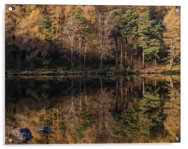 Autumnal Sublemity Serenity Acrylic by Stephen Beardon