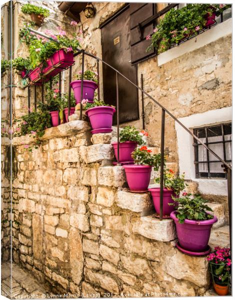 Plant pots and Stairs Canvas Print by Lynne Morris (Lswpp)