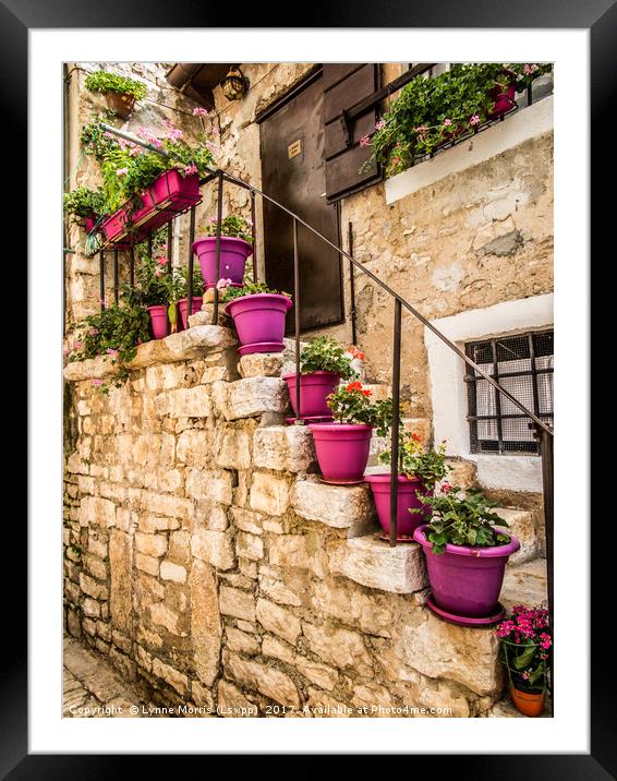 Plant pots and Stairs Framed Mounted Print by Lynne Morris (Lswpp)