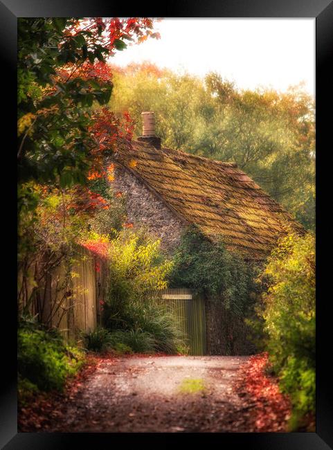 The Cottage Framed Print by Dawn Cox