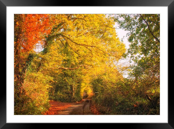 The Lane Framed Mounted Print by Dawn Cox