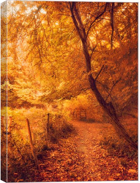 Autumn Woodland Canvas Print by Dawn Cox