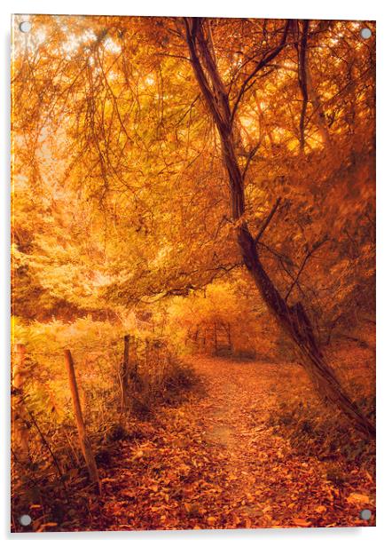 Autumn Woodland Acrylic by Dawn Cox