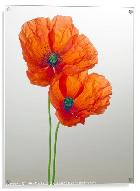 Poppy Acrylic by Judith Flacke