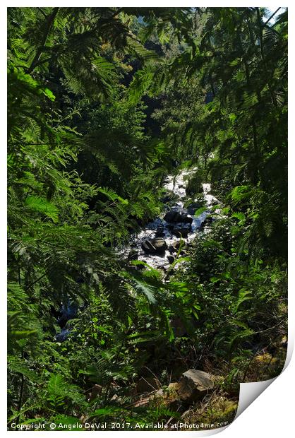River and Leaves in Lousa Mountains. Portugal Print by Angelo DeVal
