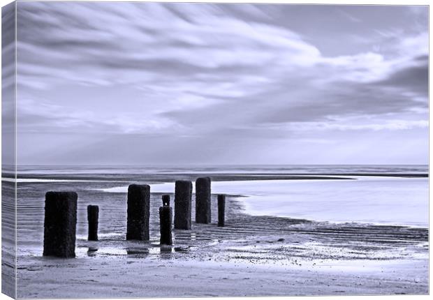 Waiting for the tide Canvas Print by David McCulloch