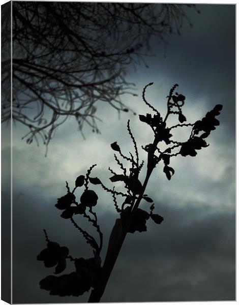 winter silhouette Canvas Print by Heather Newton