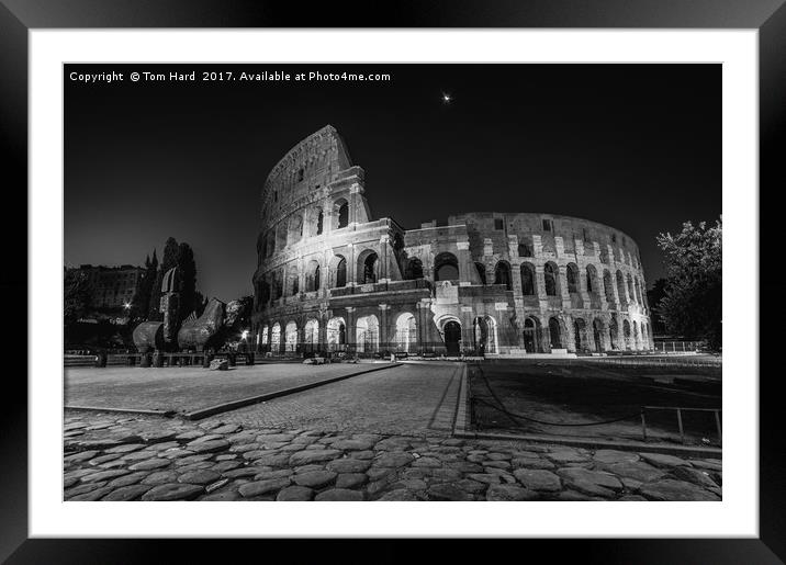 Roman Colosseum Framed Mounted Print by Tom Hard