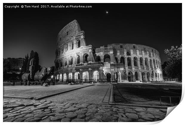Roman Colosseum Print by Tom Hard