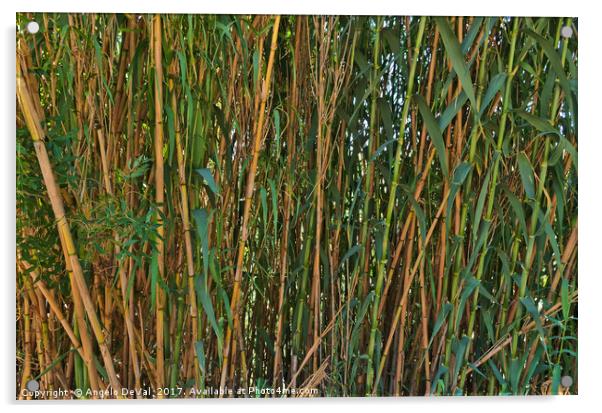 Wild Bamboo Wall Acrylic by Angelo DeVal