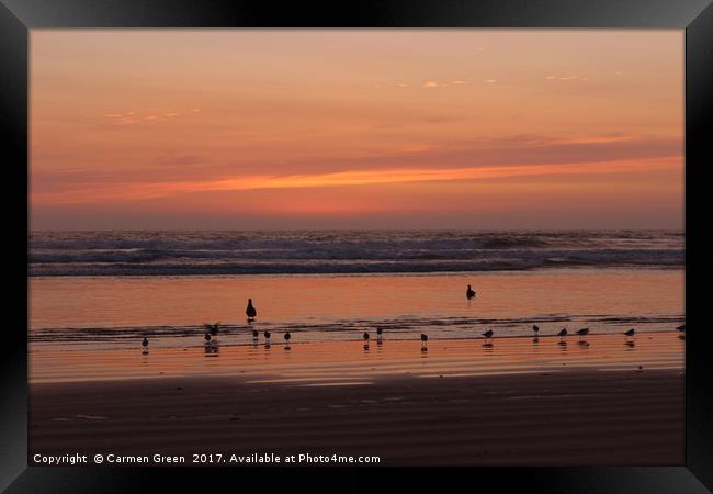 Sunset and waders at Pismo Beach California Framed Print by Carmen Green