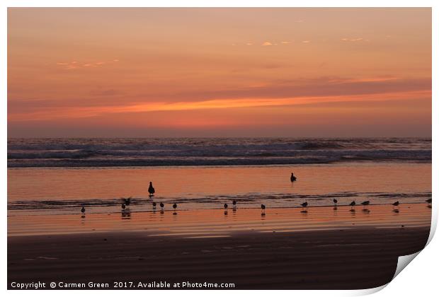 Sunset and waders at Pismo Beach California Print by Carmen Green