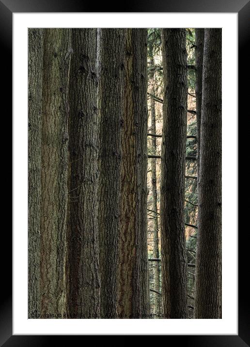 Elan Valley Pine Tree Trunks Framed Mounted Print by Ken Mills
