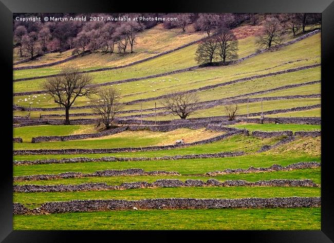 Yorkshire Dales Stone Walls Framed Print by Martyn Arnold