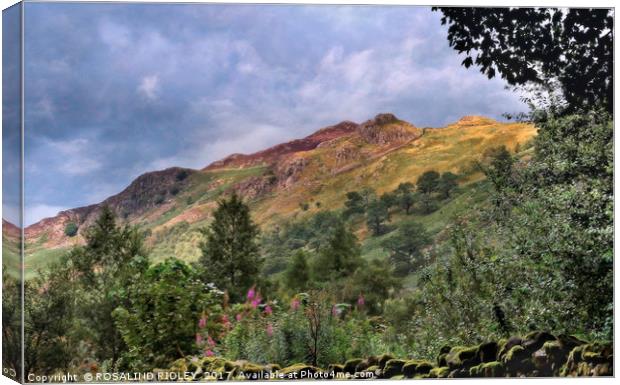 "Goat Crags" Lake District Canvas Print by ROS RIDLEY