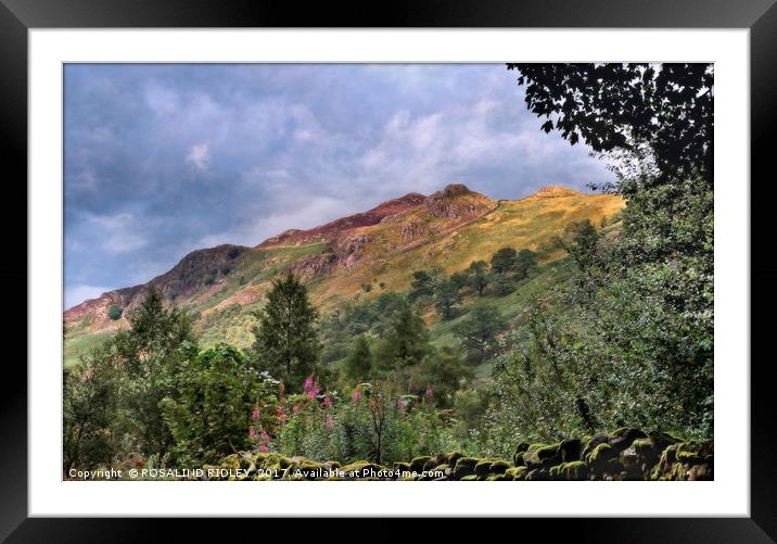 "Goat Crags" Lake District Framed Mounted Print by ROS RIDLEY