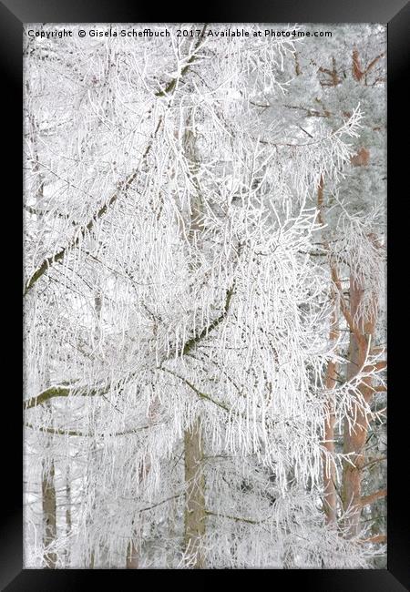 Frosted Tree Framed Print by Gisela Scheffbuch