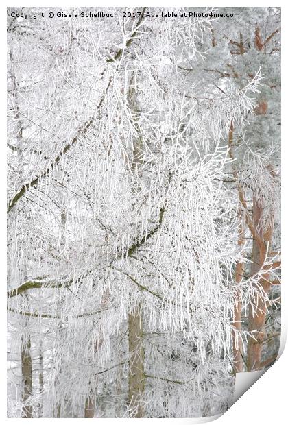Frosted Tree Print by Gisela Scheffbuch