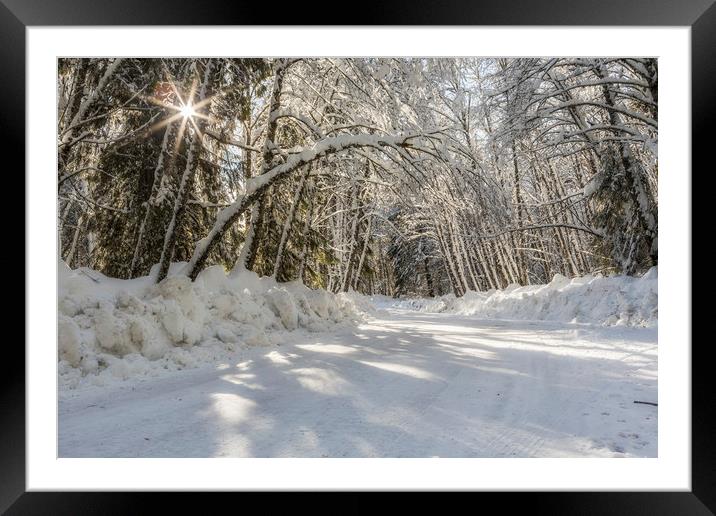 Covered in White Framed Mounted Print by Belinda Greb