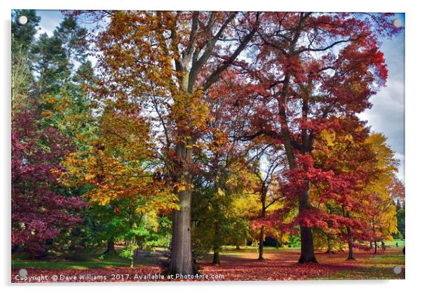 Autumnal colours in Virginia Water Lake      Acrylic by Dave Williams