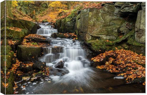 Lumsdale in Autumn Canvas Print by Jason Moss
