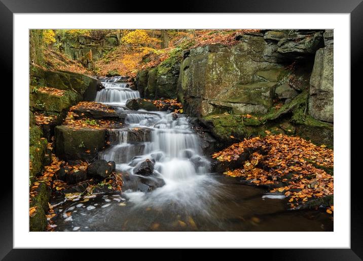 Lumsdale in Autumn Framed Mounted Print by Jason Moss