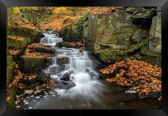 Lumsdale in Autumn Framed Print by Jason Moss