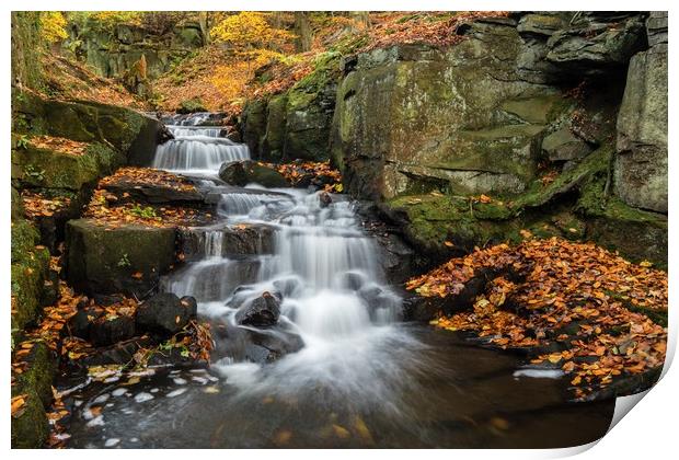 Lumsdale in Autumn Print by Jason Moss
