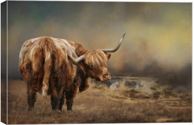 Highland Cattle Canvas Print by Chantal Cooper