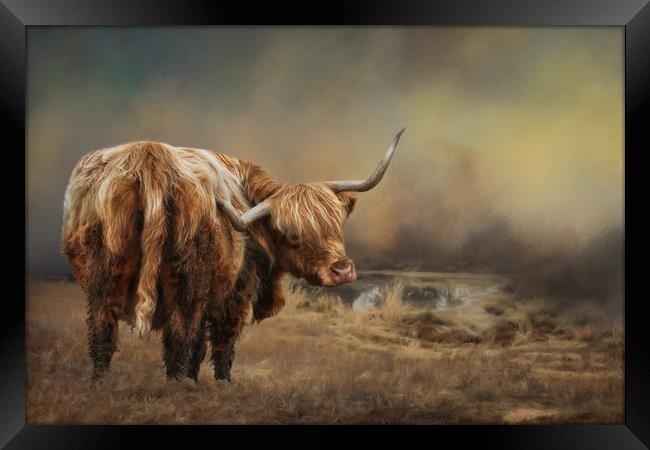 Highland Cattle Framed Print by Chantal Cooper
