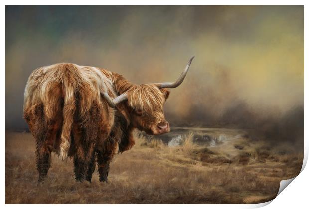 Highland Cattle Print by Chantal Cooper