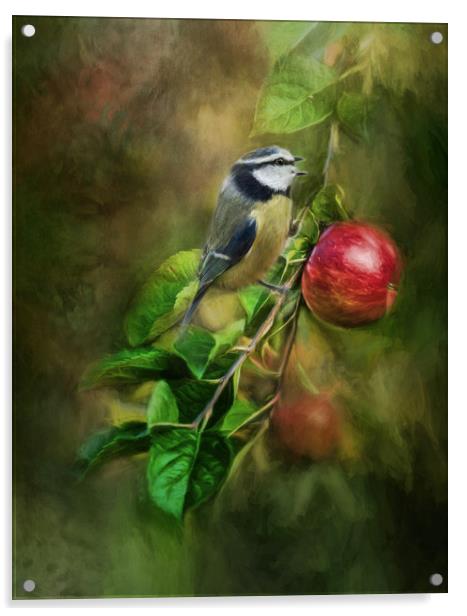 Blue Tit in the Apple Tree Acrylic by Chantal Cooper
