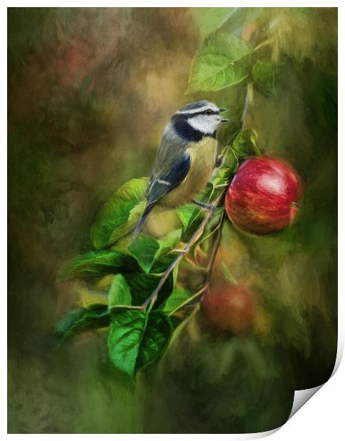 Blue Tit in the Apple Tree Print by Chantal Cooper
