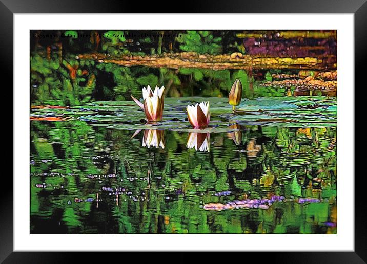 Airbrushed Water Lilies Framed Mounted Print by Jim Jones