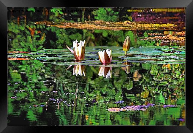 Airbrushed Water Lilies Framed Print by Jim Jones