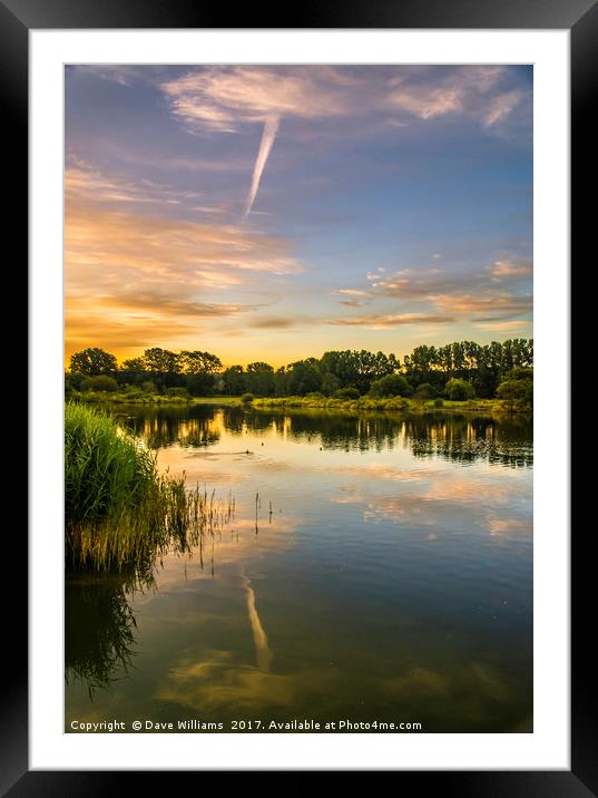 Early hours at Holmethorpe Lagoons Nature Reserve Framed Mounted Print by Dave Williams