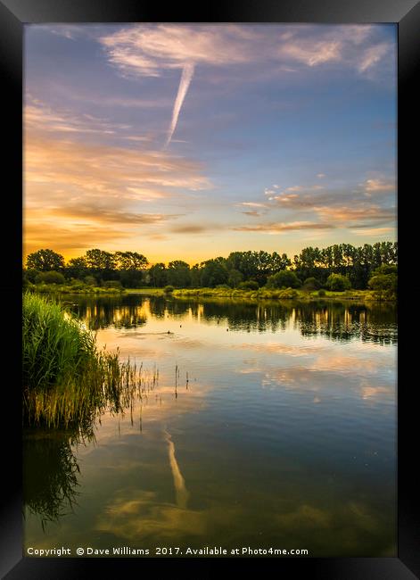Early hours at Holmethorpe Lagoons Nature Reserve Framed Print by Dave Williams
