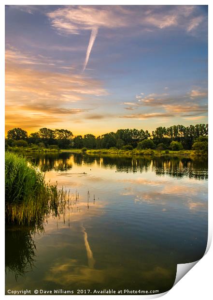 Early hours at Holmethorpe Lagoons Nature Reserve Print by Dave Williams