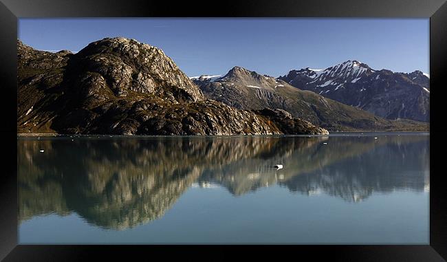 Glacier Bay 2 Framed Print by Stephen Maxwell