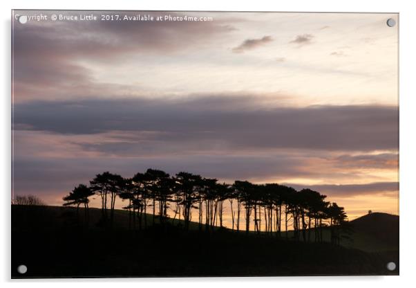 Sunrise over Coastal Trees Acrylic by Bruce Little