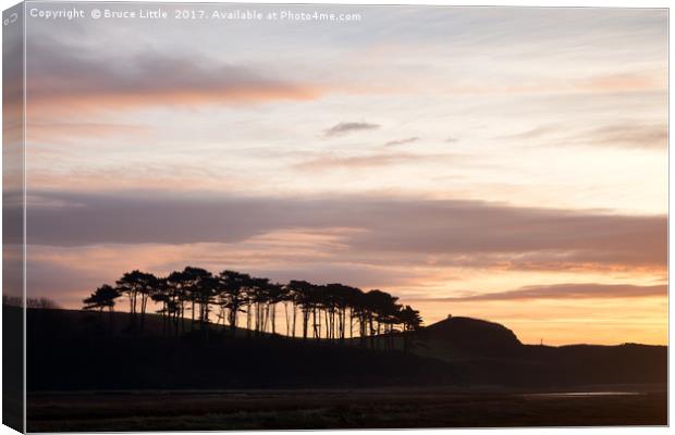 Treeline at Ottermouth Canvas Print by Bruce Little