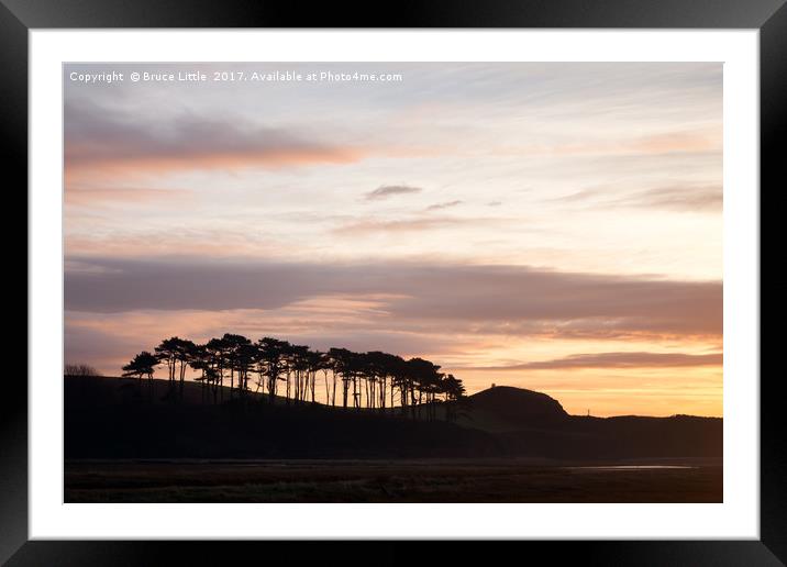Treeline at Ottermouth Framed Mounted Print by Bruce Little