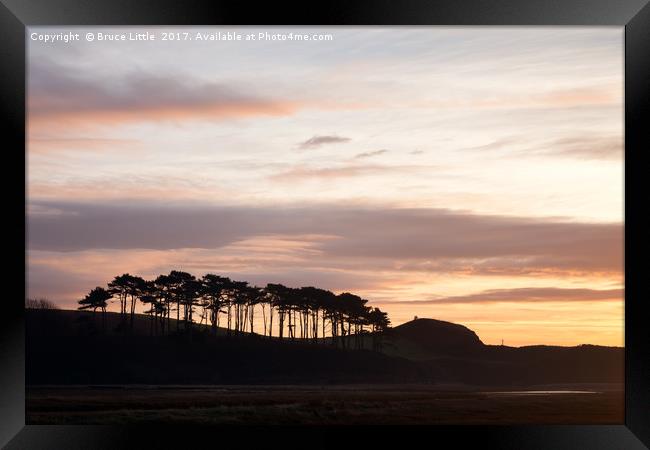 Treeline at Ottermouth Framed Print by Bruce Little