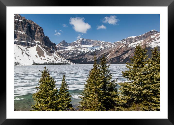 Bow Lake Alberta Canada Framed Mounted Print by David Belcher