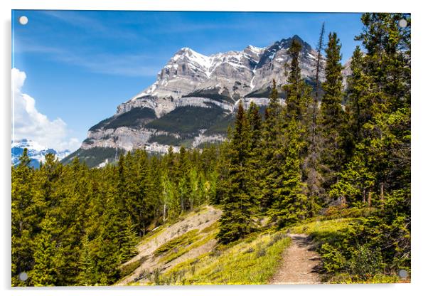 Canadian mountain trail  Acrylic by David Belcher