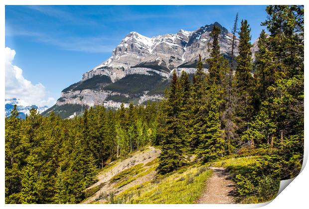 Canadian mountain trail  Print by David Belcher