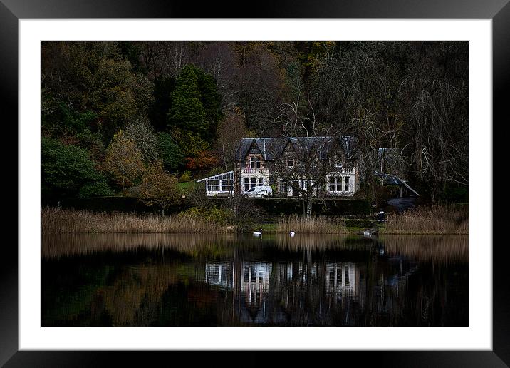 Swans on the loch Framed Mounted Print by Alan Sinclair
