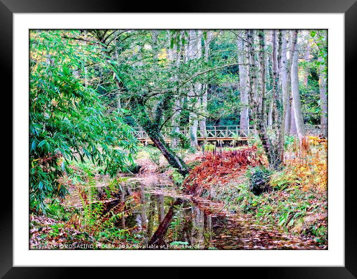 "Reflections in the pond" Framed Mounted Print by ROS RIDLEY